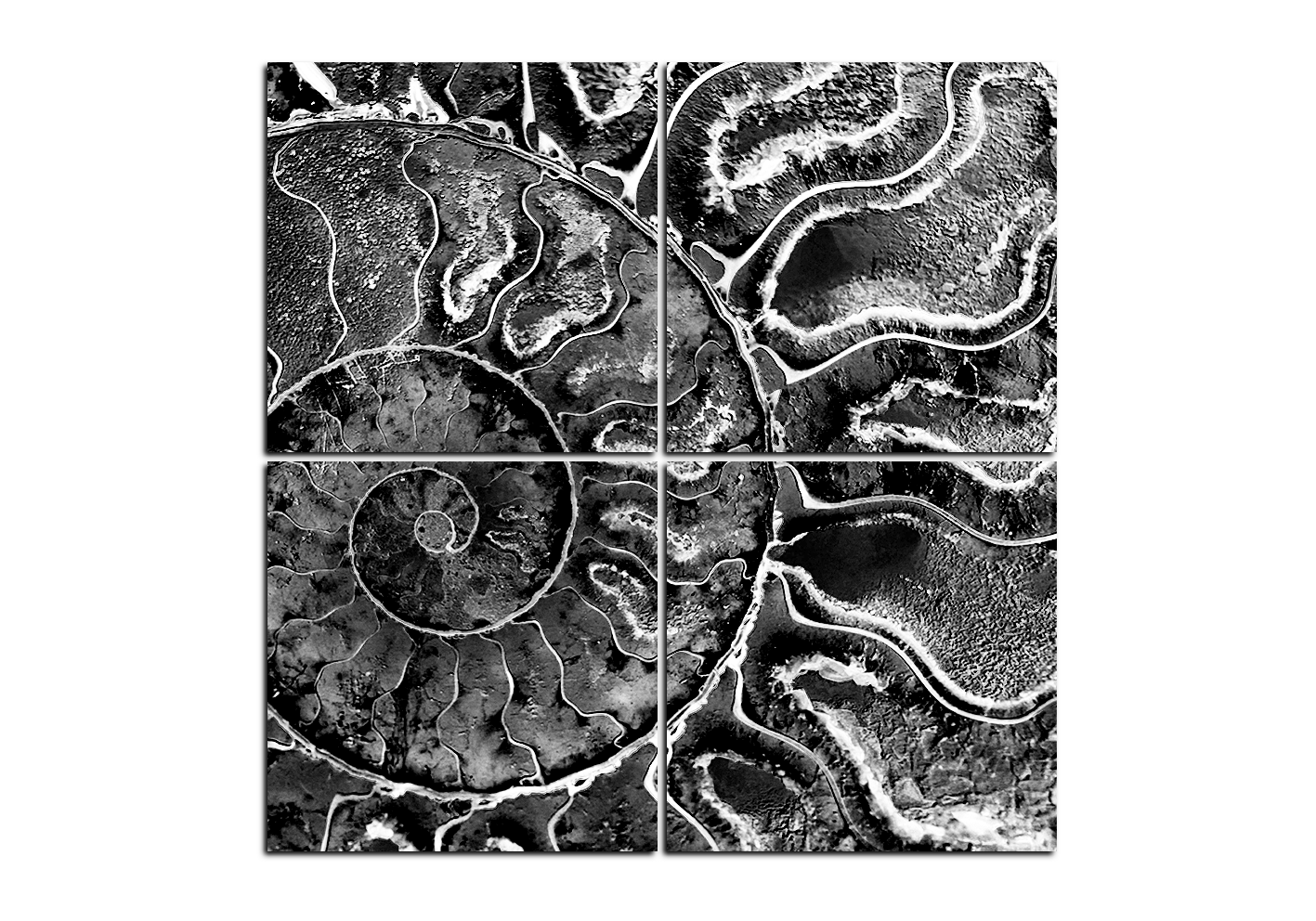 Obraz na plátně - Textura fosílie - čtverec Obraz na plátně - Textura fosílie - čtverec
